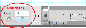 Synchronization Process